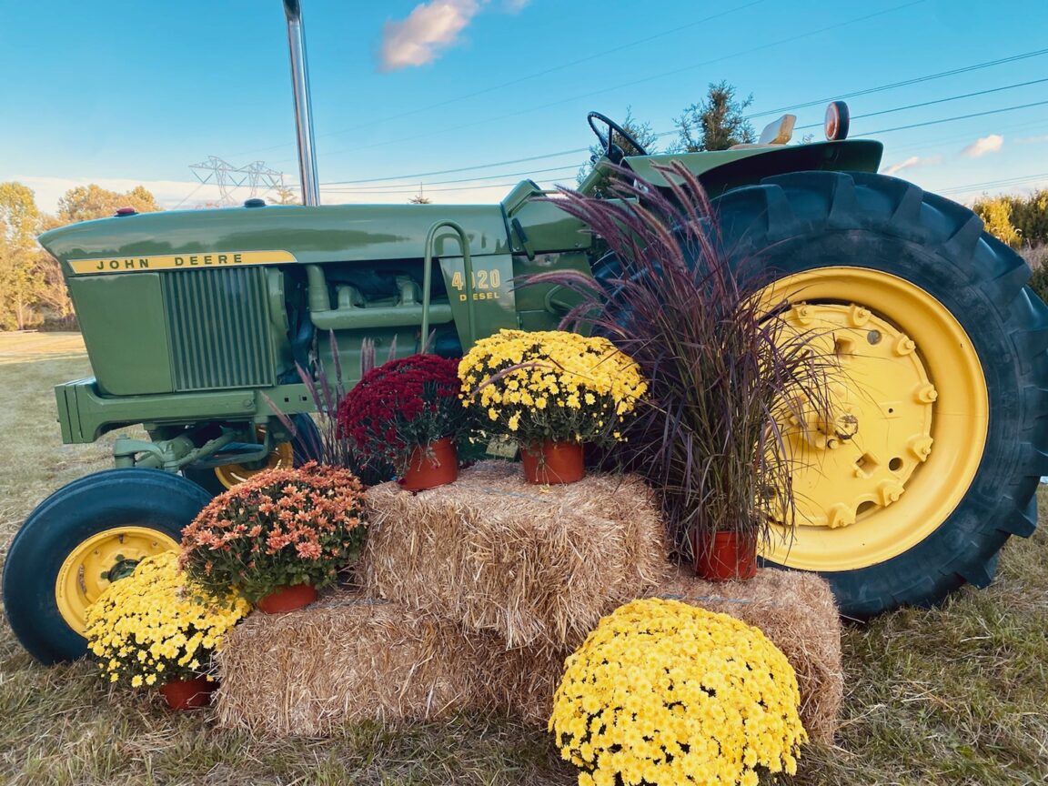 Fall is such a beautiful time at McCurdy's Farm! Take a look!